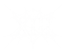 XIII FITNESS